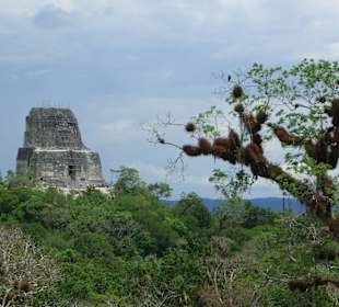 Tikal -Teil der Anlage