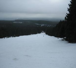Skihang für Anfänger geeignet