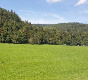 Wandern Enzklösterle 