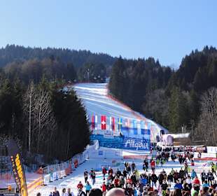 Zielhang und Tribüne