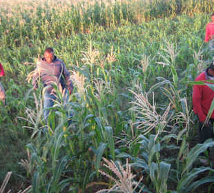 Helfer bei der Landung der Ballons