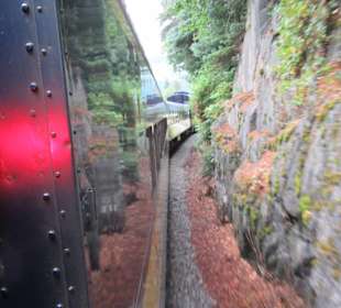 Auf den Weg in Alaskas Natur