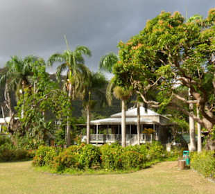 Teil des Botanischen Gartens