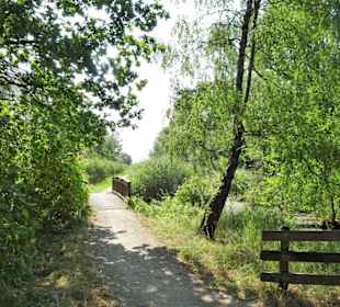 Sommer-Impressionen aus dem Park Links der Weser