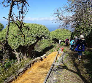 Wandern Villa de Mazo