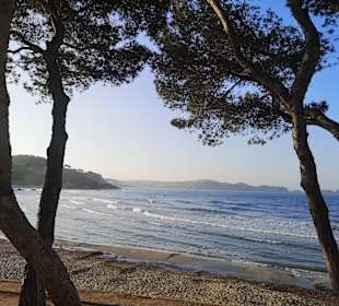 Strand Paguera/Peguera