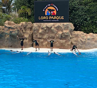 Loro Parque