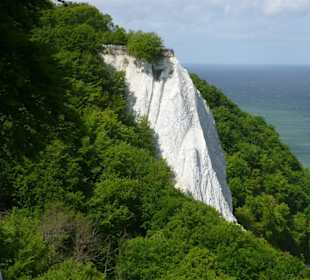 Blick von der Victoriasicht auf den Königsstuhl