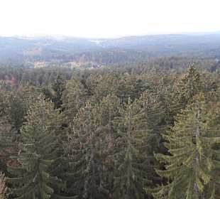 Steinklamm Spiegelau