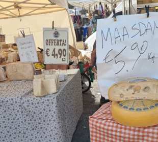 Herrliche Käsesorten und Auswahl