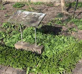 Apothekergarten Ettlingen