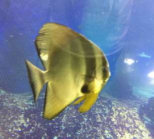 Afrykarium Zoo Wrocław