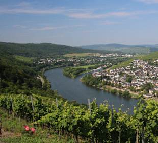 Blick während der Fahrt