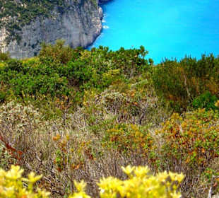 Quer durch die Macchia auf den Klippen