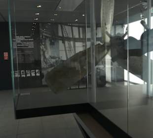 Zeppelin Museum