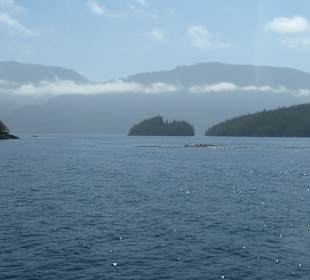 Die herrliche Landschaft