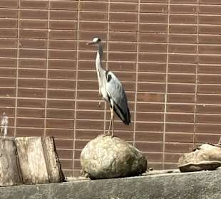 Zoo Leipzig