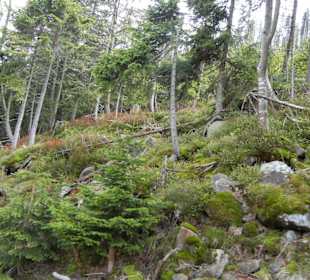 Karkonoski Park Narodowy