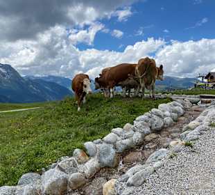 Wandern Ahorn Mayrhofen