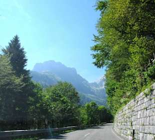 Im Hintergrund das Gebirge