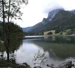 Zauberwald und Hintersee