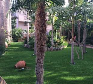 Wunderschöner Garten 