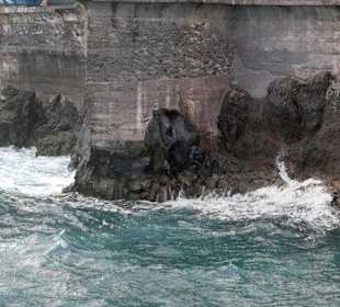 Vip- Tour, Garachico