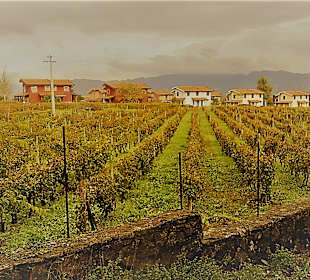 Wandern Castiglione di Sicilia