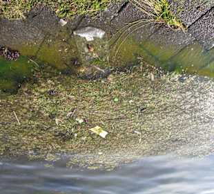 So sah es leider überall aus