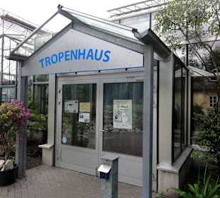 Tropenhaus im Botanischen Garten