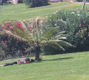 Gartenanlage an der Promenade