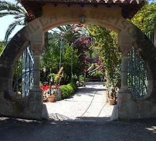 Der Weg von Can Picafort nach Alfabia