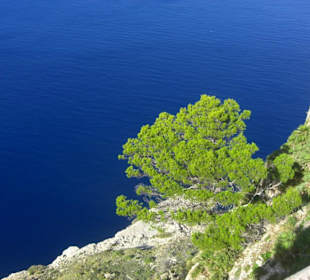 Auf dem Weg zum Kap Formentor