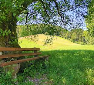 Wandern Rothenberg