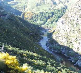 Mitder Taileri Railway durch die Natur Neuseelands