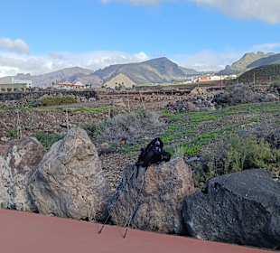 Blick ins innere des Landes