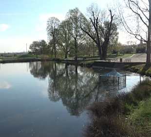 Nymphensee Stuttgart