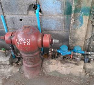 Mit Green Mango das ursprüngliche BKK entdecken