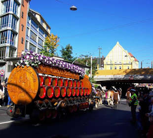 Tucher Bräu 6 Rheinländischen Kaltblüter