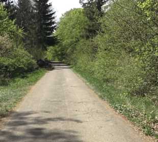 Waldlehrpfad an der Lauter