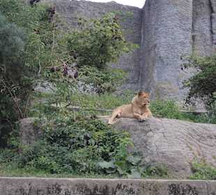 Zoo Warszawa