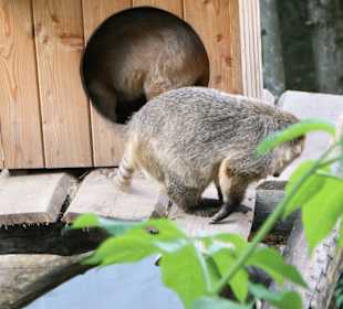 Kameltheater & Weißer Hof