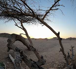 Quad Tour Marsa Alam