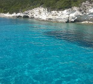 Antypaxos