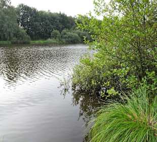 Impressionen vom Rundweg um den Weichelsee