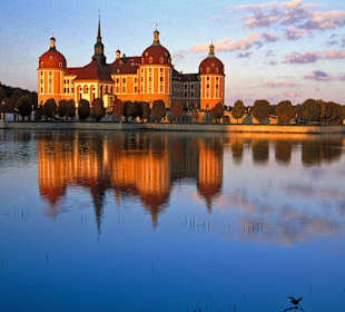 Barock- und Jagdschloss Moritzburg