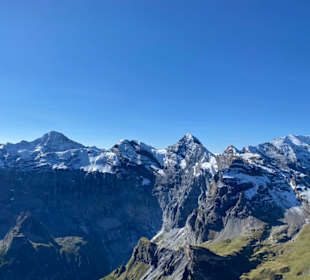 Ausblick 