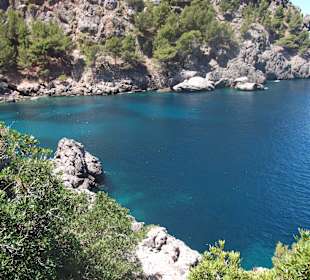 Výlet - přístav Sa Calobra