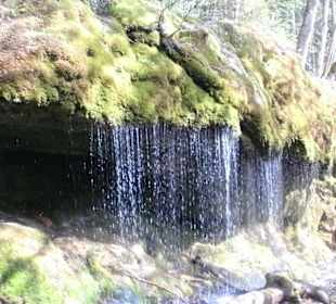 Abwechslungsreiche Landschaft