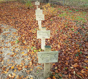 Wie weit springen die jeweiligen Wildtiere